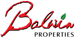 Balwin Properties
